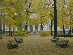 autumn leaves around benches